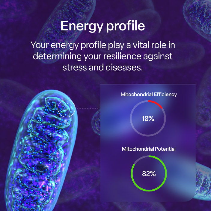 mescreen™ mitochondrial efficiency test